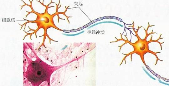 三中网安：chatgpt爆火出圈带来的ai网络安全的思考1